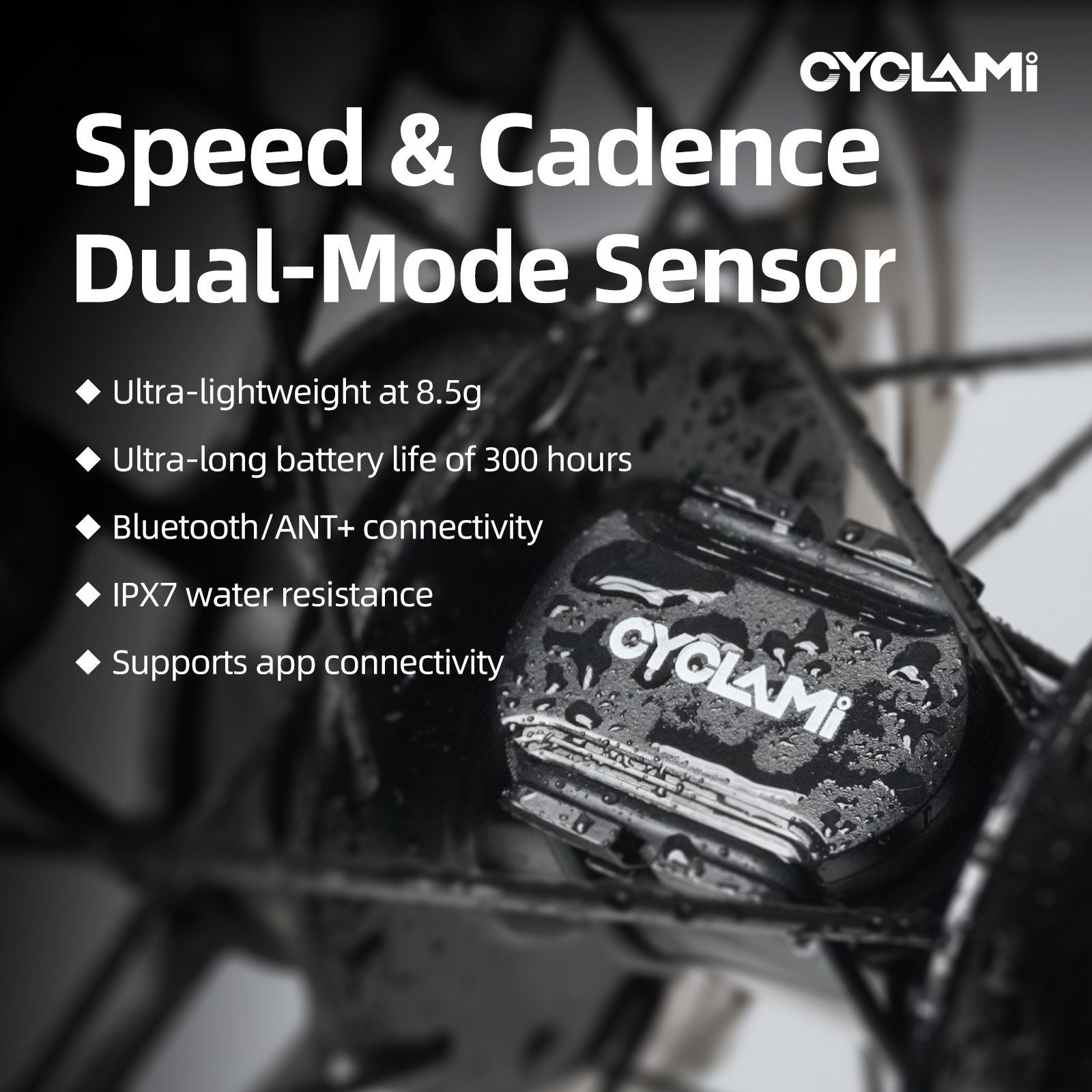 Cycling Speed Cadence Sensor Dual - CYCLAMI C2 Podwójny czujnik prędkości i